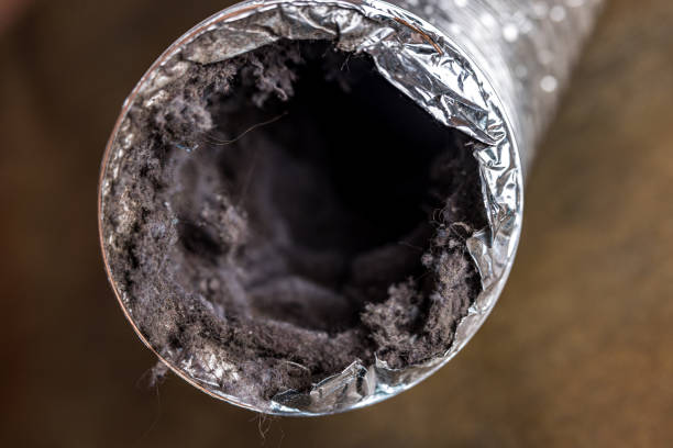 Best Air Duct Cleaning Near Me  in Proctor, VT