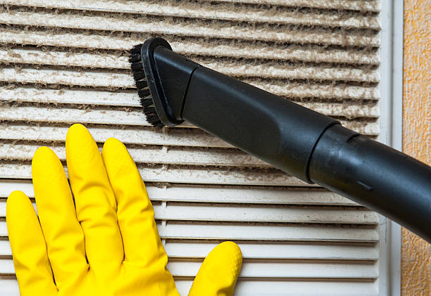 Best Residential Air Duct Cleaning  in Proctor, VT
